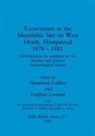 Desmond Collins, Daphne Lorimer - Excavations at the Mesolithic Site on West Heath, Hampstead 1976 - 1981