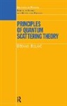 Dzevad Belkic, Dževad Belkić, Belkic Dzevad - Principles of Quantum Scattering Theory