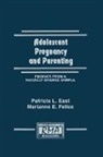 Patricia L. East, East Patricia L., Marianne E. Felice, Felice Marianne E. - Adolescent Pregnancy and Parenting