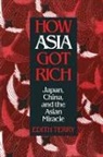 Edith Terry, Terry Edith - How Asia Got Rich