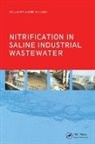 Moustafa Samir Moussa - Nitrification in Saline Industrial Wastewater
