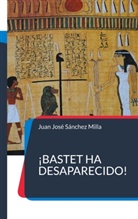 Juan José Sánchez Milla - ¡Bastet ha desaparecido!