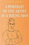James Joyce - A Portrait of the Artist as a Young Man