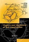 Poul V. Lade, PoulV. Lade, Lade Poul V., Jerry A. Yamamuro, Yamamuro Jerry A. - Physics and Mechanics of Soil Liquefaction