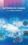 Harald Fuchs, Qingmin Ji - Soft Matters for Catalysts