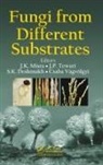 J. K. (Slm Bhartia Vidya Bhavan Girls Degre Misra, J. K. Tewari Misra, Sunil Kumar Deshmukh, Deshmukh Sunil Kumar, J. K. Misra, Misra J. K.... - Fungi From Different Substrates