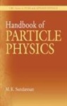 M.K. Sundaresan - Handbook of Particle Physics