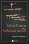Anatoly B. Kolomeisky, Anatoly B. (Rice Univeristy Kolomeisky, Kolomeisky Anatoly B. - Motor Proteins and Molecular Motors