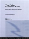 Batara Simatupang, Simatupang Batara - The Polish Economic Crisis