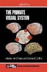 Takashi R. Sato, Christine E. Collins, Collins Christine E., Jon H. Kaas, Kaas Jon H. - The Primate Visual System