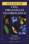Joseph G. Hirschberg, Hirschberg Joseph G., Elli Kohen, Kohen Elli, Nuri Ozkutuk, Ozkutuk Nuri... - Atlas of Cell Organelles Fluorescence