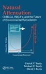 David J. Borns, Borns David J., Michael V. Brady, Patrick V. Brady, Brady Michael V., Brady Patrick V. - Natural Attenuation