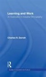 Charles N. Darrah, Darrah Charles N. - Learning and Work