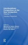 Desirée Qin-Hilliard, Carola Suárez-Orozco, Marcelo M. Suárez-Orozco - Theoretical Perspectives