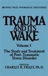 Charles R. Figley - Trauma And Its Wake