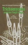 Bruce W. Horn, Horn Bruce W., J K Misra, J. K. Misra - Trichomycetes and Other Fungal Groups