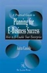 Anita Cassidy, Cassidy Anita - A Practical Guide to Planning for E-Business Success