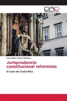 Jose Mario Achoy Sánchez - Jurisprudencia constitucional reformista