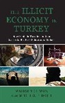 Mahmut Cengiz, Mahmut Roth Cengiz, Mitchel P Roth, Mitchel P. Roth, Roth Mitchel P. - Illicit Economy in Turkey