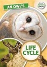 Madeline Tyler - An Owl's Life Cycle