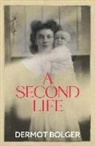 Dermot Bolger - Second Life