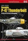 Maciej Noszczak - Republic P-47 Thunderbolt: D-25, D-27, D-30, D-40 Models