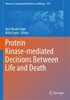 Ayse Basak Engin, Engin, Atilla Engin, Ayse Basak Engin - Protein Kinase-mediated Decisions Between Life and Death