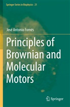 José Antonio Fornés - Principles of Brownian and Molecular Motors