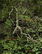 Rita Bullwinkel, J John Priola, J. John Priola, Alec Soth, J. John Priola - J. John Priola