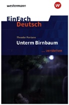 Theodor Fontane, Timotheus Schwake - EinFach Deutsch ... verstehen