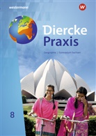 Jana Baldauf, Kerstin Bräuer, Sascha Kotztin, Annett Krüger, Annett u a Krüger, Frank Morgeneyer... - Diercke Praxis SI - Ausgabe 2019 für Gymnasien in Sachsen