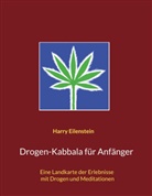 Harry Eilenstein - Drogen-Kabbala für Anfänger