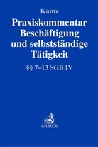 Oliver Chama, Willi Johannes Kainz, Anja Katharina Euler u a - Praxiskommentar Beschäftigung und selbstständige Tätigkeit