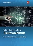 Sebastian Kroll, Volker Lankes, Stephan Plichta, Stephan u Plichta, Ulrich Simon, Christoph Walter - Mathematik Elektrotechnik