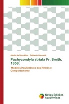 Edilberto Giannotti, Adolfo da Silva-Melo - Pachycondyla striata Fr. Smith, 1858: