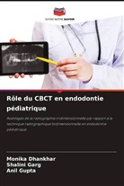 Monika Dhankhar, Shalini Garg, Anil Gupta - Rôle du CBCT en endodontie pédiatrique