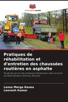 Lensa Merga Kenea, Leevesh Kumar - Pratiques de réhabilitation et d'entretien des chaussées routières en asphalte