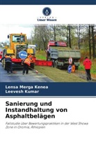 Lensa Merga Kenea, Leevesh Kumar - Sanierung und Instandhaltung von Asphaltbelägen