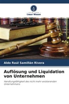 Aldo Raúl Samillán Rivera - Auflösung und Liquidation von Unternehmen