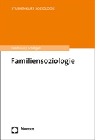 Michael Feldhaus, Monika Schlegel - Familiensoziologie