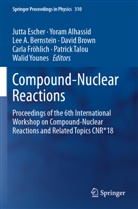 Lee A Bernstein et al, Yoram Alhassid, Lee A. Bernstein, David Brown, Jutta Escher, Carla Fröhlich... - Compound-Nuclear Reactions