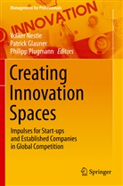 Patrick Glauner, Volker Nestle, Philipp Plugmann - Creating Innovation Spaces