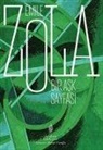 Emile Zola - Bir Ask Sayfasi