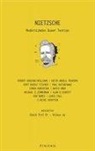 Keith Ansell Pearson, Michael E. Zimmerman, Ken Gemes, Robert Gooding, C. Heike Schotten, Paul Katsafanas... - Nietzsche