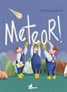 Gözde Baskent - Meteor
