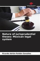Ricardo Adrián Roldán González - Nature of jurisprudential theses: Mexican legal system