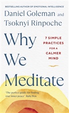 Daniel Goleman, Adam Kane, Tsoknyi Rinpoche, Tsoknyi Rinpoche - Why We Meditate