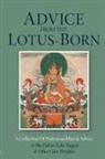 Padmasambhava, Marcia Binder Schmidt - Advice from the Lotus-Born