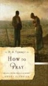 R A Torrey, R. A. Torrey, Rosalie De Rosset - How to Pray