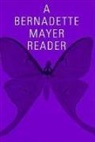 Bernadette Mayer - A Bernadette Mayer Reader